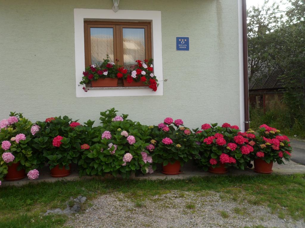 Vacation Home Kuca Za Odmor Krasno Polje Ruang foto